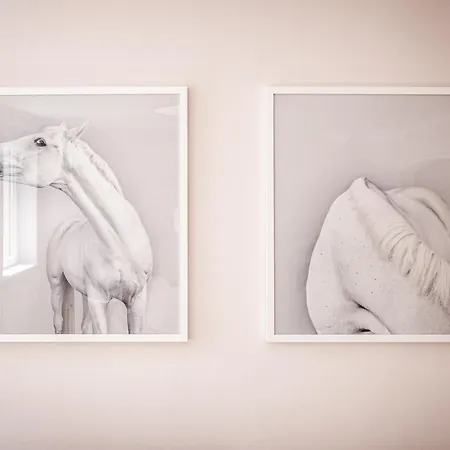 Apartahotel Boutique Charme Langestr 14 4*